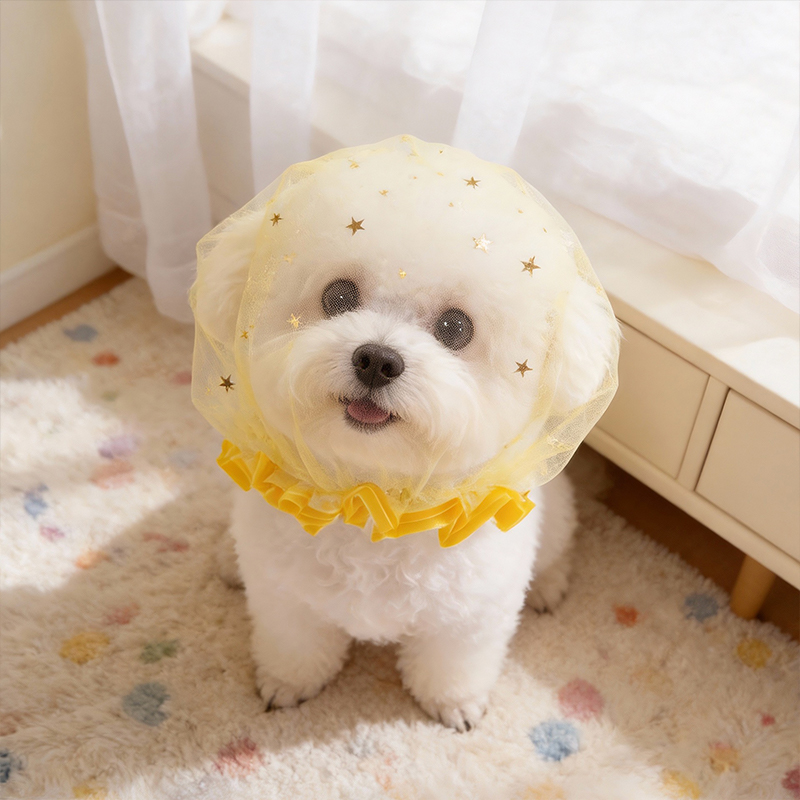 Anti Bark Summer Dog Cap Outdo - đánh giá và giá Pet Supplies York