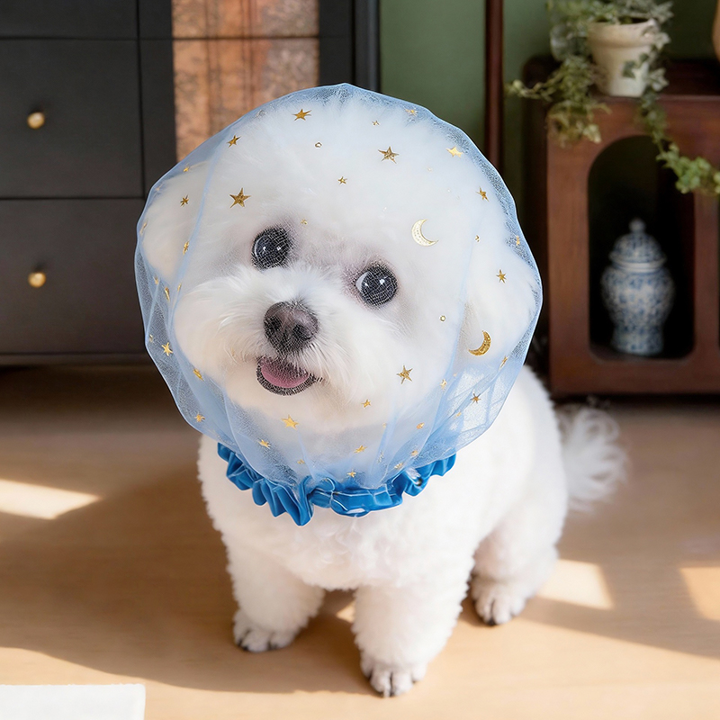 Anti Bark Summer Dog Cap Outdo - đánh giá và giá Pet Supplies York