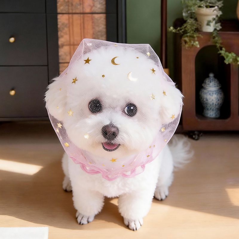 Anti Bark Summer Dog Cap Outdo - đánh giá và giá Pet Supplies York