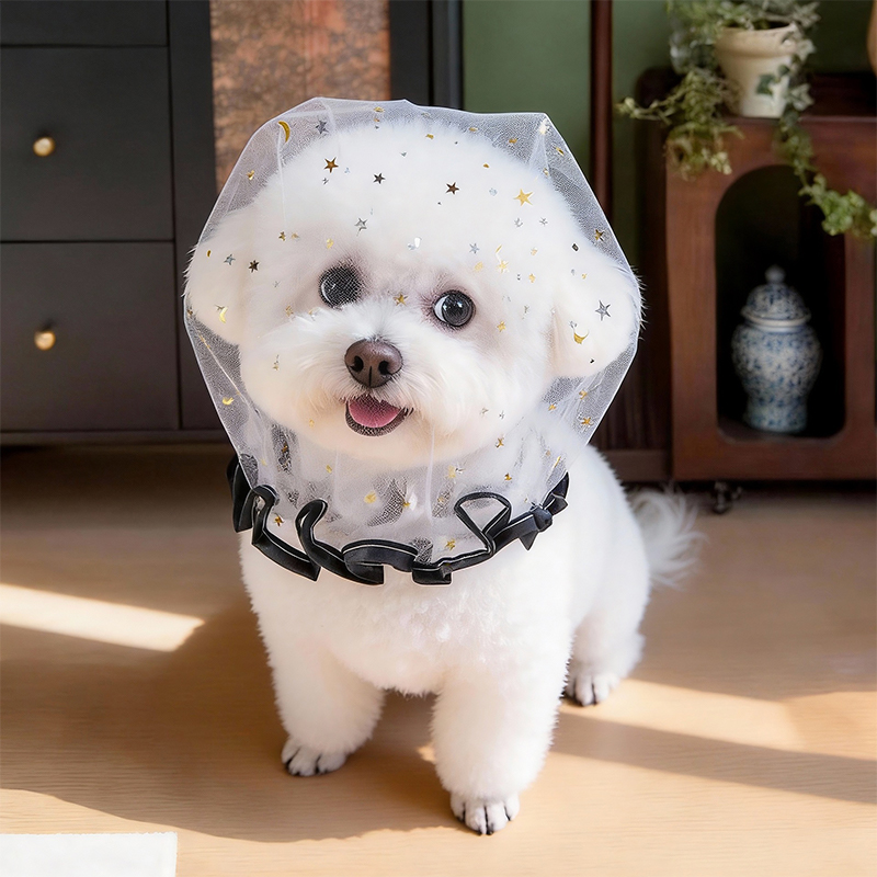 Anti Bark Summer Dog Cap Outdo - đánh giá và giá Pet Supplies York