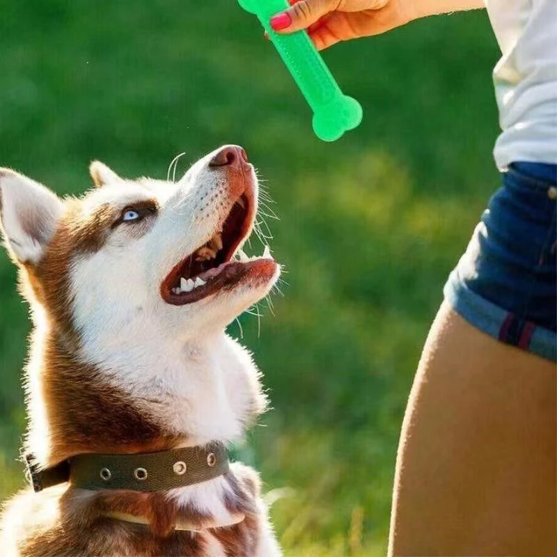 Super Tough Dog Bone Chew Toy  - đánh giá và giá Training Clicker Dog