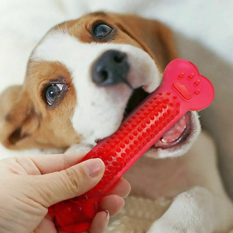 Super Tough Dog Bone Chew Toy  - đánh giá và giá Training Clicker Dog