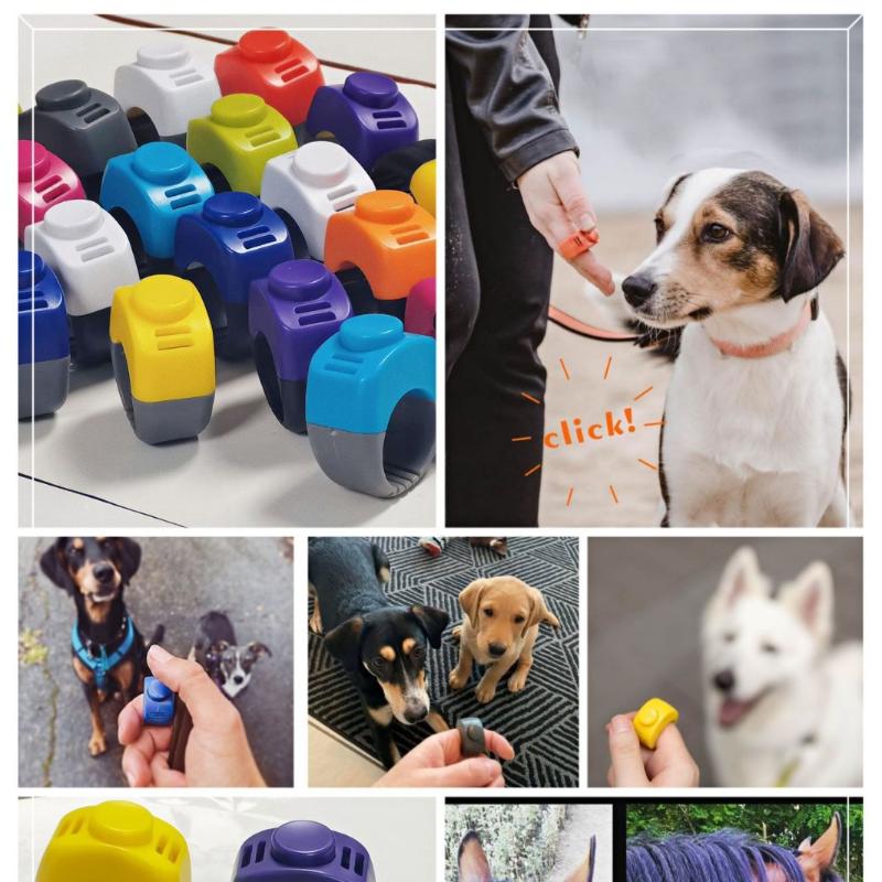 New Ring Clicker Pet Mini Fing - đánh giá và giá Training Clicker Dog