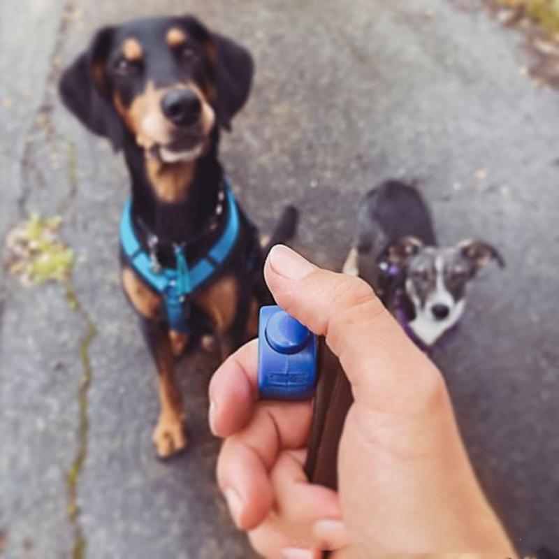 New Ring Clicker Pet Mini Fing - đánh giá và giá Training Clicker Dog