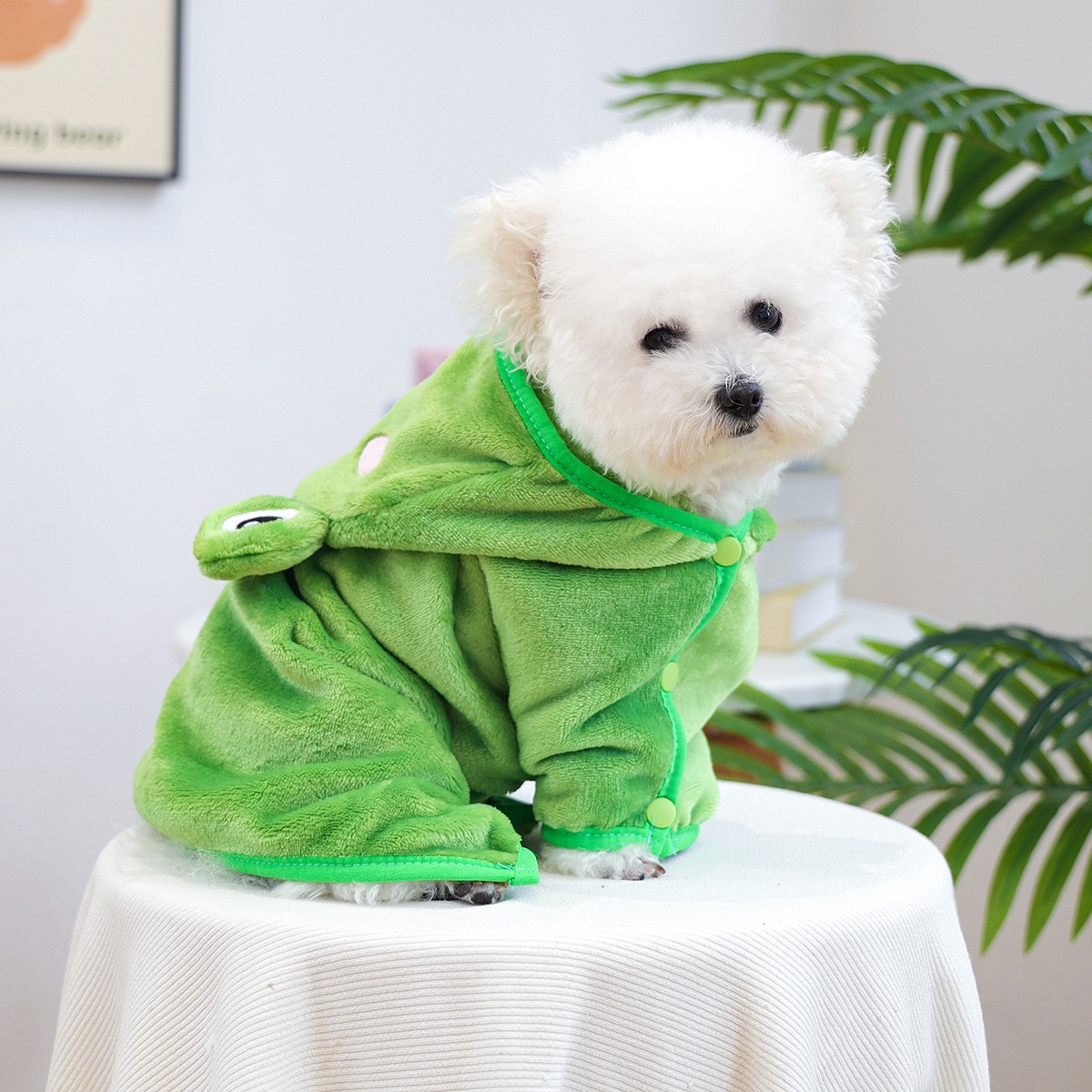 Frog Cap One Piece Dogs Cloak  - đánh giá và giá Pet Supplies York