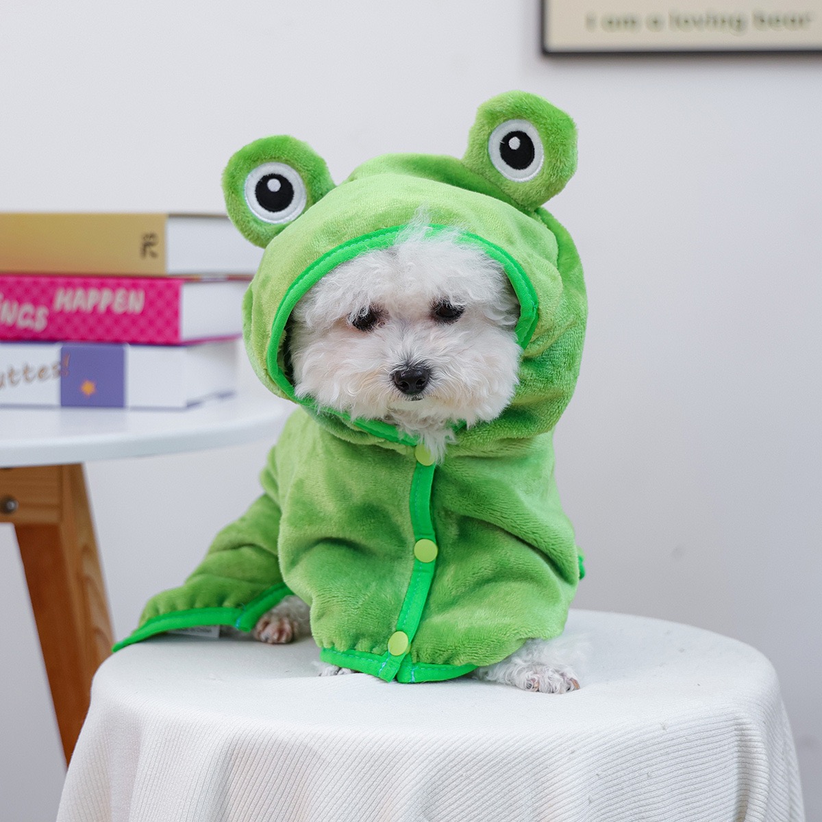 Frog Cap One Piece Dogs Cloak  - đánh giá và giá Pet Supplies York