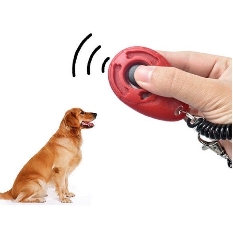 Adjustable Wrist Band Pet Trai - đánh giá và giá Training Clicker Dog
