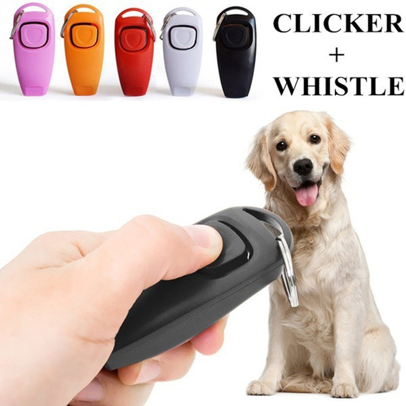 2 In 1 Pet Dog Clicker Dog Tra - đánh giá và giá Training Clicker Dog